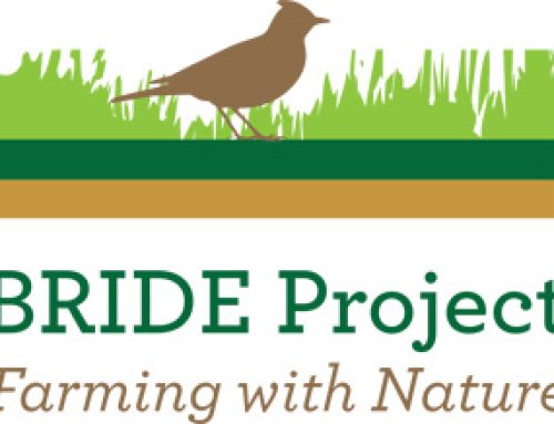 Project Final Reports Released